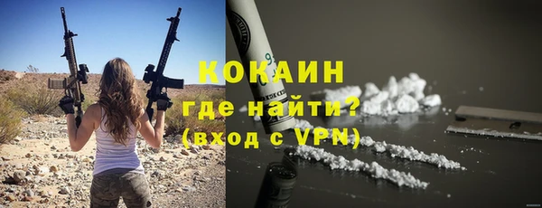 шишки Арсеньев