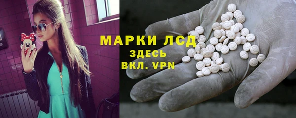 шишки Арсеньев