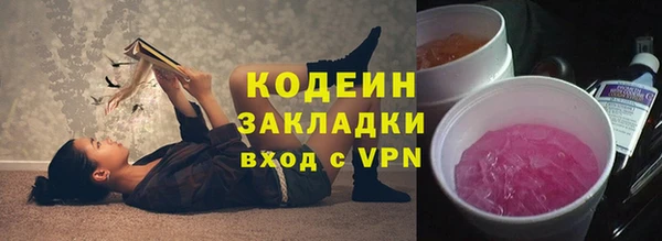 шишки Арсеньев