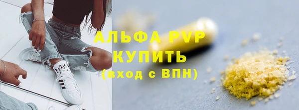шишки Арсеньев