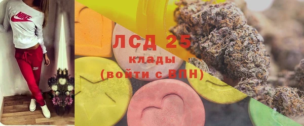 шишки Арсеньев
