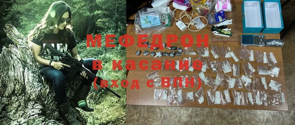 шишки Арсеньев