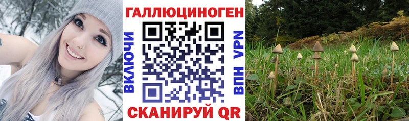Галлюциногенные грибы мухоморы  что такое   Нолинск 